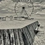 Appartement Avec Jardin à 50 M De La Et 2 Vélos Inclus